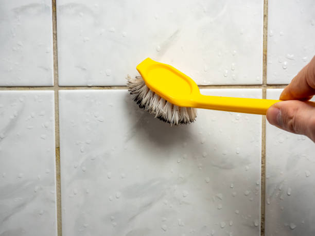 Best Mold Removal Company Near Me  in Pukalani, HI
