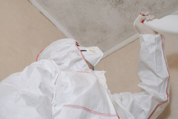 Best Professional Mold Removal  in Pukalani, HI